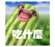633328669