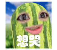 633328673