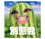 633328674