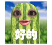 633328675