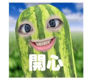 633328677