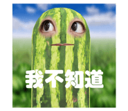633328683