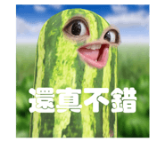 633328691