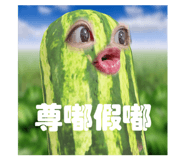 633328692