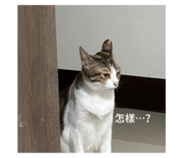 633345477