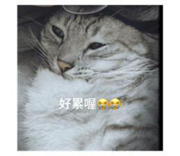 633345479