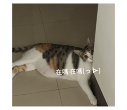 633345484