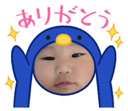 633355952