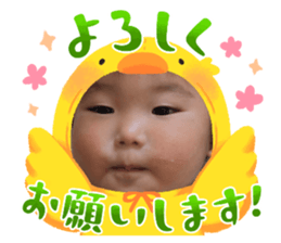 633355956