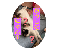 633367089