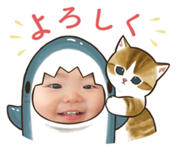 633370801