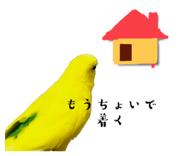 633380078