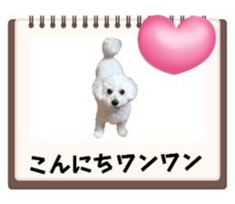 633385598
