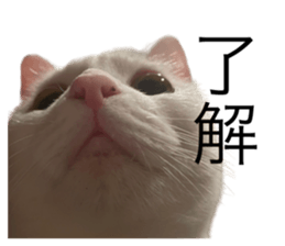 633386145