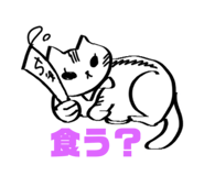 633398761
