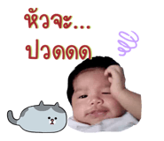 633399800