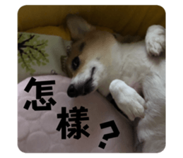 633402354