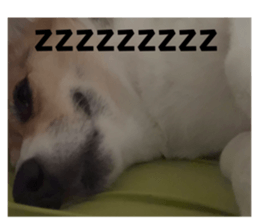 633402371