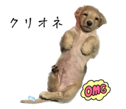 633404092