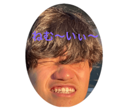 633411551