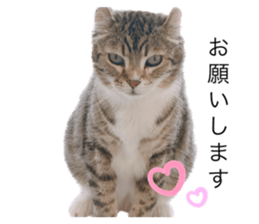 633415671