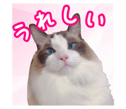 633419628