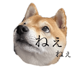 633423907