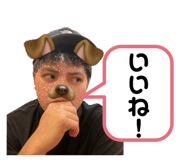 633449729