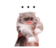 633454207
