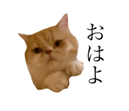633454219