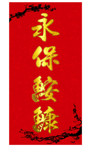 633455675