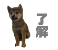 633456274