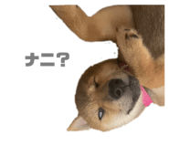 633456279
