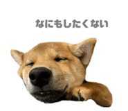 633456280
