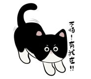 633457869