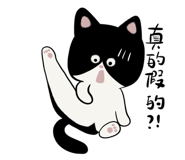 633457872