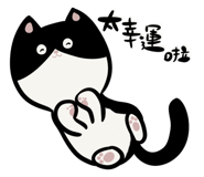633457882