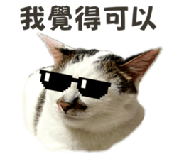 633469769