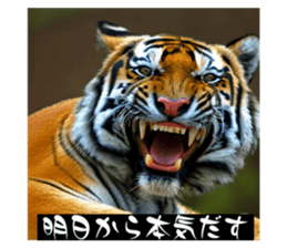 633483875