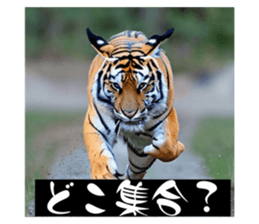 633483877