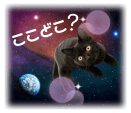 633493037