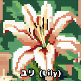 633498970
