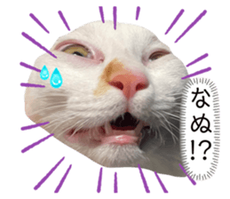 633502995
