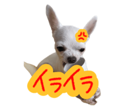 633506952