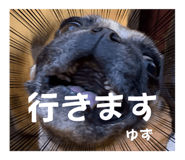 633509655