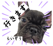 633509656