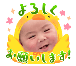 633509817