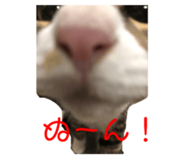 633548237