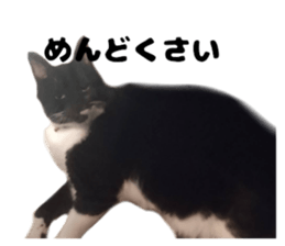 633551061