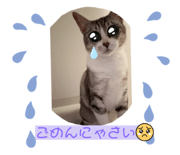 633555160